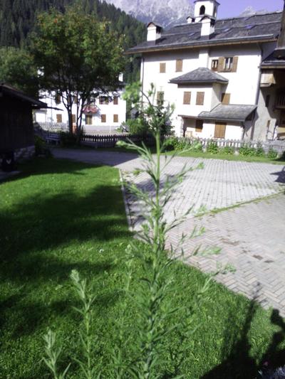 Da Carla Dolomiti Val di Zoldo