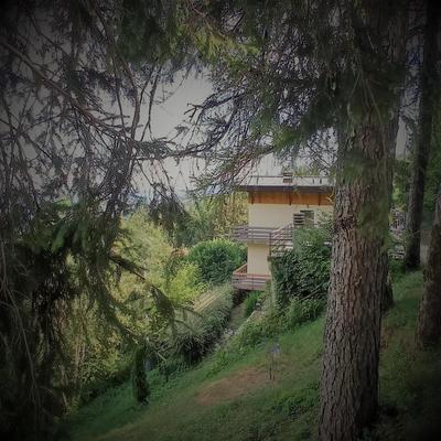 La Casa di Anna nel Parco delle Dolomiti Croce d' Aune 1000 ml slm