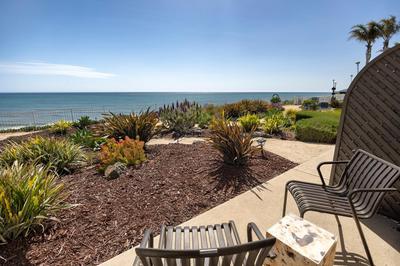 Cottage Inn by the Sea, Billede 2