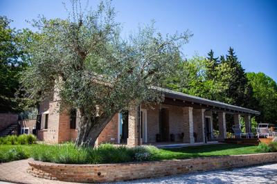 Resort Villa Paola