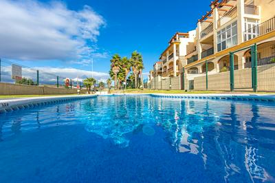 Views, pool & home office - Optic Fibre
