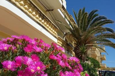 Villa Bronja Superior Airconditioned Studio apartment in Xlendi