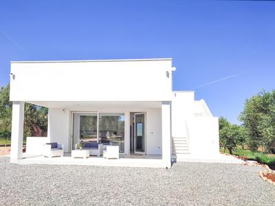 Olive trees house