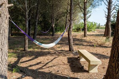 Villa Talìa - casa accogliente, immersa nel verde