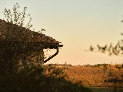 Il giardino sotto le stelle