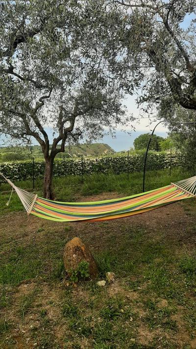 VILLA IN COLLINA VISTA MARE