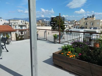 Roofgarden Apartment