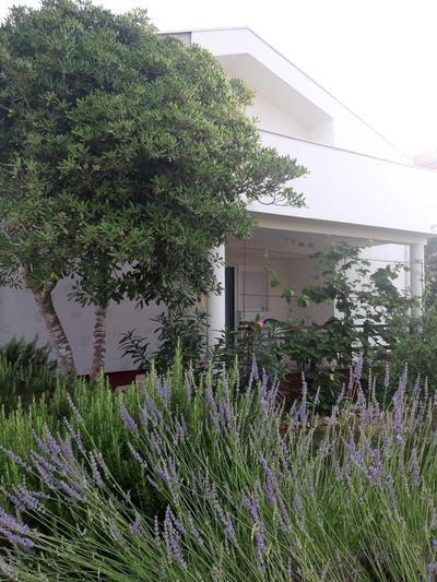Oasis apartment 300 meters from the beach - by TA Leut Agency
