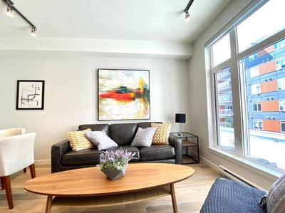 Lovely Brand New Suite