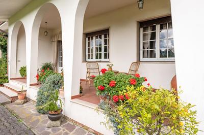 Tea Rose House