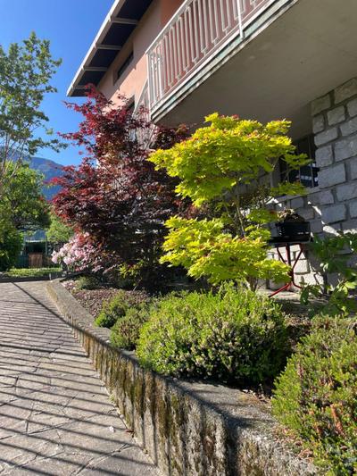 Como Lake Home