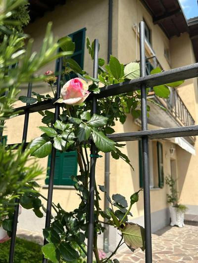 Sebino Holiday Home Monteisola