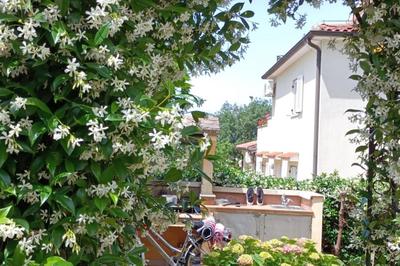 Apartment Fiorita for 4 Persons Poreč close the beach