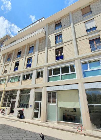 Central House Light Apartment