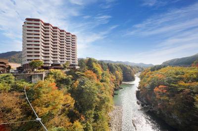Hotel Sunshine Kinugawa, Zdjęcie 2