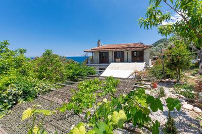 SunRiseStudiosPapanero