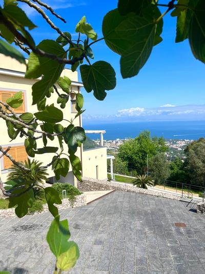 Fountain House Sorrento