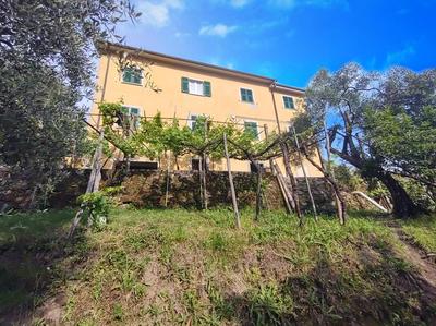 la cascina tra gli ulivi