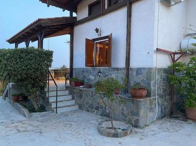 Beetle Villa retro country house