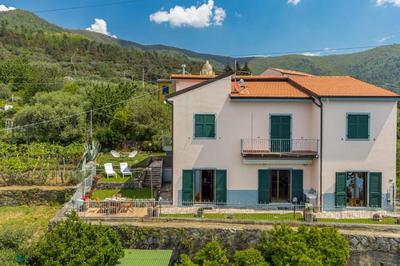 Orizzonte Damare