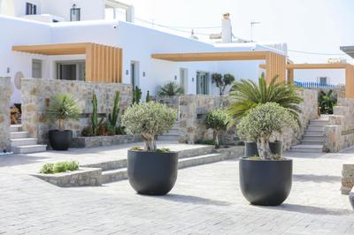 Brilliance of Mykonos