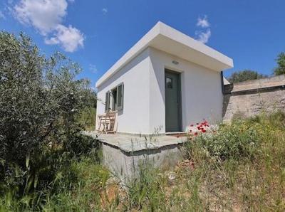 Little house in the olive grove
