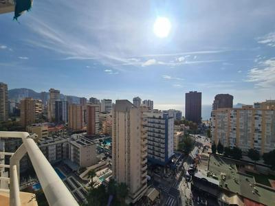 Apartamento Zeus 14 IF Benidorm
