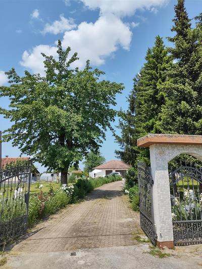 Villa Drenje