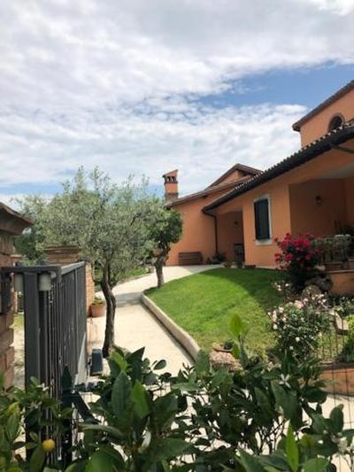 Il giardino delle rose