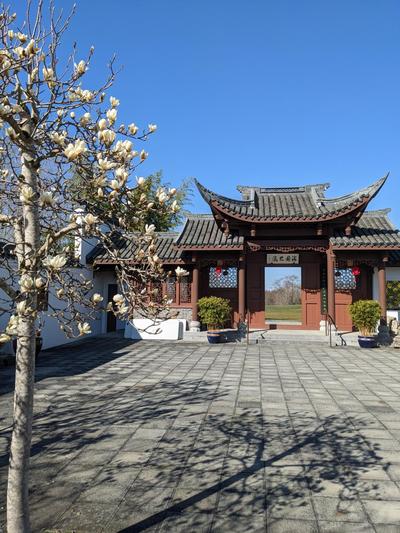 High Point Guesthouse - Next to Seattle Chinese Garden