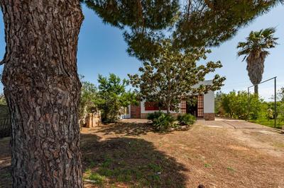 - Trullo degli Ulivi - Oasi Naturale nel Salento