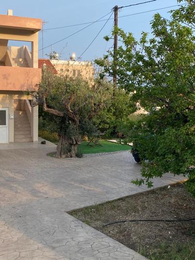 Fotis house