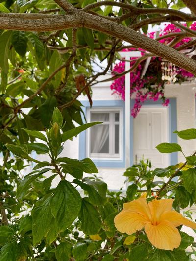 Seaside Studios Arkasa Karpathos