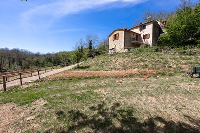 Podere del Ciacchi Among Tuscany Greenery - Happy Rentals