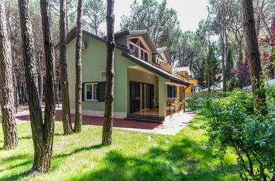 Forest Cottage - middle of forest & near the beach