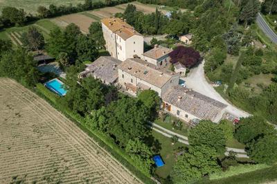Limonaia