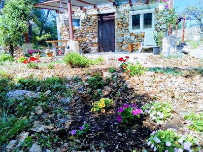 Isolated, 30m to sea, Viktoria s cottage