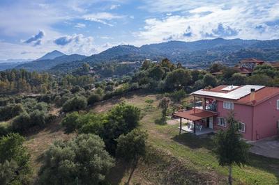 La Collina degli Ulivi