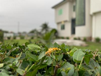 ELLISA HOSPITALITY and SPA