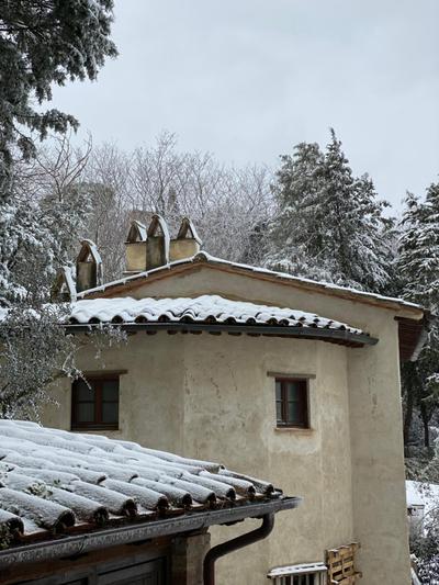 La Tana del Grifo - Podere Amodeo