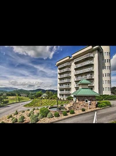 Amazing Mountain Views, 5 min to Dollywood&parkway