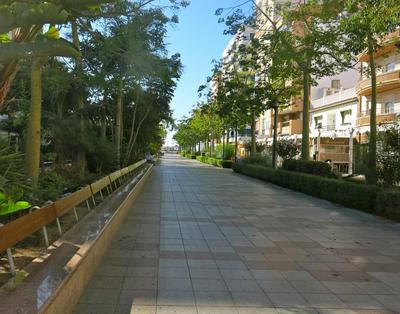 Oasis junto al mar
