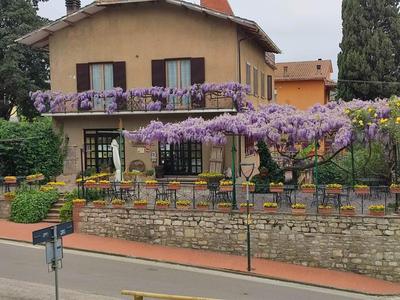 Il Glicine - anemone