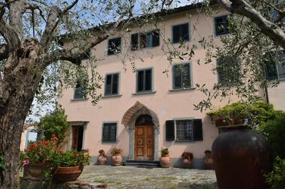 La Convenienza