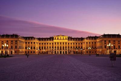 little cozy residence - enjoy Summer in Vienna