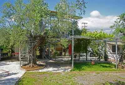VENI Olive House