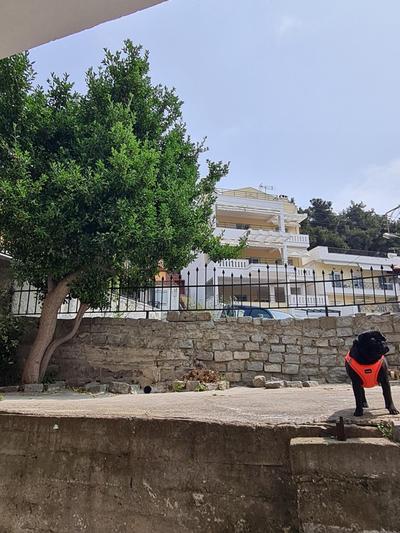 "With the seagulls" Kavala