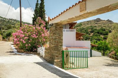 Agia Marina Apartments 11 Andros