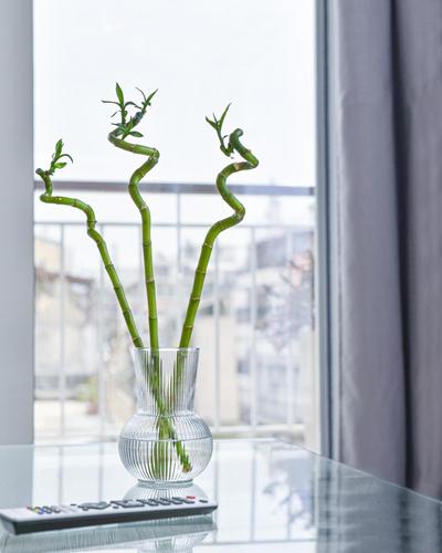 Glassy Apartment