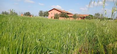 La ferme de Giulia à Aprilia, Photo 2